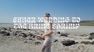 Cyber wedding to the bine shrimp: A hydrosexual love story 2023