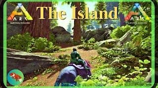 Exploring the Redwoods! ARK Survival Evolved - SOLO - The Island 2024 (EP18)