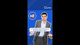 Is it normal for testicles to be of different sizes? | Qurex