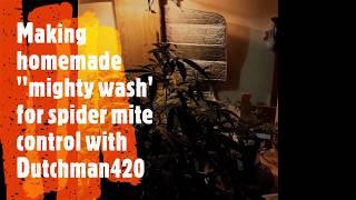 Making homemade "mighty wash" for pest control with Dutchman420