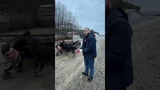 1 января 2025 г.