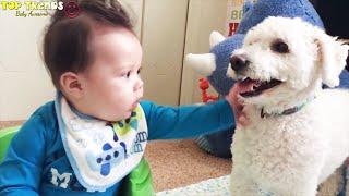 Funny Babys Play with Animals