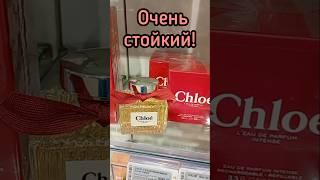 ШИКАРНЫЙ СТОЙКИЙ ПАРФЮМ| АРОМАТ 2024 CHLOÉ L'EAU DE PARFUM INTENSE #парфюмерия #духи #shorts #рек