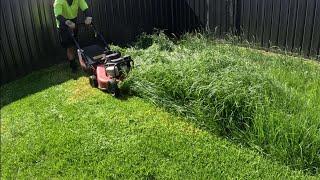 Mowing tall grass perfectly (Satisfying)