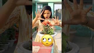 Ninni ne aisa Jaadu kiya ki Tree Society shocked ho gayi 