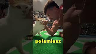 SIŁOWANIE Z KOTEM!️