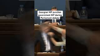 Massive brawl breaks out in Georgian Parliament 