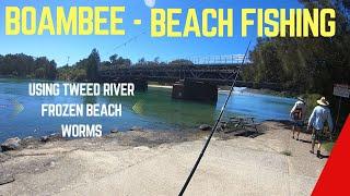 Boambee Beach Fishing, see how frozen bait works!