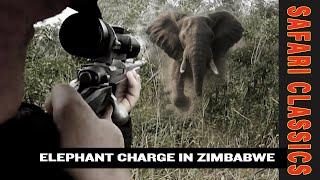 In the Path of Giants - A Zambezi Valley Charge