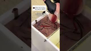 The Hardest Bar Soap to Make | Hudson Valley Skin Care