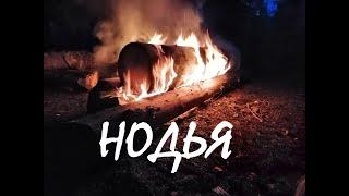 Таежный костер  Нодья!