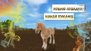 Покупка новых диких лошадей юрвика/ обзор на анимацию / star stable online