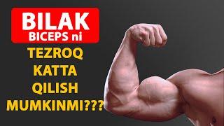 Bilak (Biceps) ni katta qilish dasturi | Boshlang'ich mashqlar!