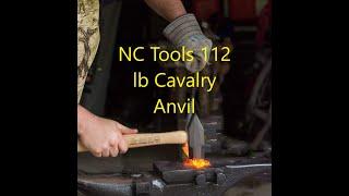 NC Tools 112 lb Cavalry Anvil: 8 Months Later.