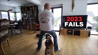 FUNNY! dzikieswinie Channel Fails of 2023