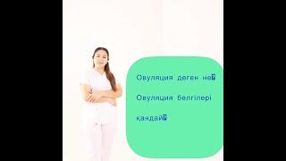 Овуляция деген не? Овуляция белгилери кандай?