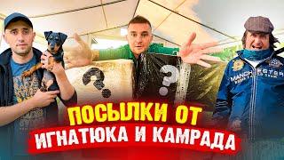 ПОСЫЛКИ ОТ ВИТАЛИКА ИГНАТЮКА И КАМРАДА! Что там ?