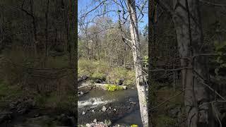 #waterfall #strømmen #norway