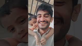 funny videos