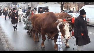 Datini si obiceiuri - Parada mascatilor, ursilor, caprelor in Suceava - 27.12.2018