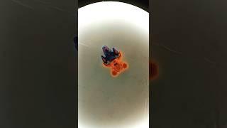 #little #video