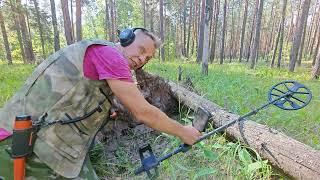 Под корнями поваленного дерева меня ожидала отличная находка или поиски в лесу.