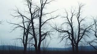 Endless rain — raw rock — by an ai song