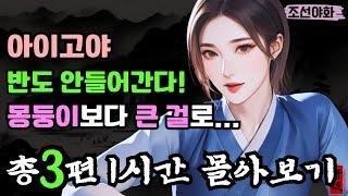 [조선야화 몰아보기16] 남장을 한 아씨와 의적 그리고 촌뜨기 농부는  /옛날이야기 / 야담 / 전설 / 민담 / 설화 / 조선시대 / 괴담