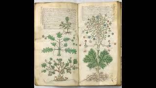 El Misterio del Manuscrito Voynich | Objetos Misteriosos