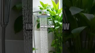 Budget-Friendly Sustainable Bathroom Hacks