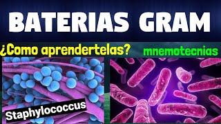 MNEMOTECNIA BACTERIAS GRAM POSITIVAS Y BACTERIAS GRAM NEGATIVAS