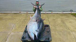 The Biggest Fish I Will Ever Catch (Commercial Bluefin Tuna)