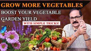 Grow More Vegetables in your Kitchen Garden, Tips to Increase Your Garden's Productivity #homegarden