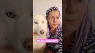 Как вселенная мстит психопату #нарцисс #психопат