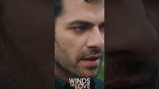 Ben her şeyi biliyorum Zeynep | #windsoflove #shorts #ruzgarlitepe #turkishseries #turkishdrama