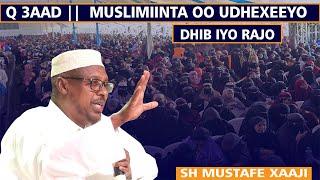 Q 3aad || Muslimiinta oo udhexeeyo Dhib iyo Rajo || Sh Mustafe Xaaji