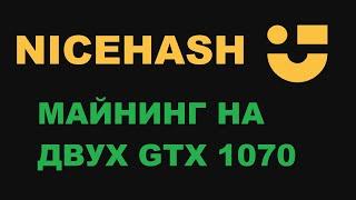 НЕ МОГУ ЗАЙТИ В ЛИЧНЫЙ КАБИНЕТ NICEHASH? МАЙНИНГ НА GTX 1070