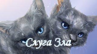 Коты Воители Клип "Слуга Зла" |Камень и Невидимка|Black Cat𓃠