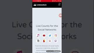 How To Customize Your Subscribers and Views *livecounts.io*