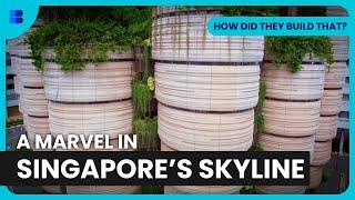 The Hive in Singapore - How Did They Build That? - S01 EP02 - Engineering Documentary