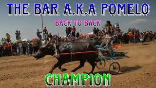 EP-656 the bar aka pomelo champion  back to back.