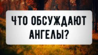 Что обсуждают ангелы? 03.09.2021