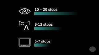 Gamma Correction in Film