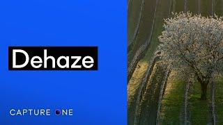 Capture One Pro Tutorials | Dehaze