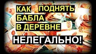 5 способов заработать в деревне нелегально!||Дом в деревне||Как сделать