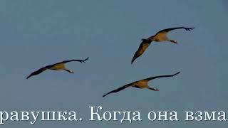 Об этой мелодии писали 1100 лет назад! Сыңрау торна. Башкирская легенда .Курай .