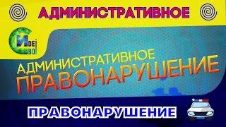 Что такое Административное Правонарушение (ПРАВОВЕДЕНИЕ)