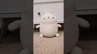 mystery blind bag!!  #blindbag #shortvideo #cute #shorts #short #molang #fyp #plushies #plush