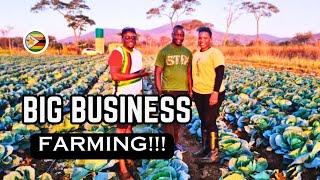 I met the NEWEST Farmers in Glendale, Zimbabwe