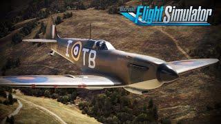 Saying Farwell. . . | One Final Flight in Microsoft Flight Simulator 2020